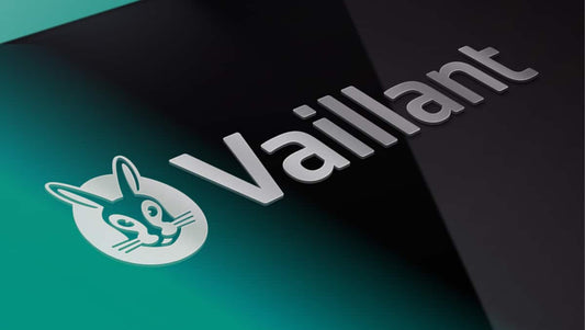 VAILLANT GRUPPO DI CAMERE SINISTRO 042338. PG25