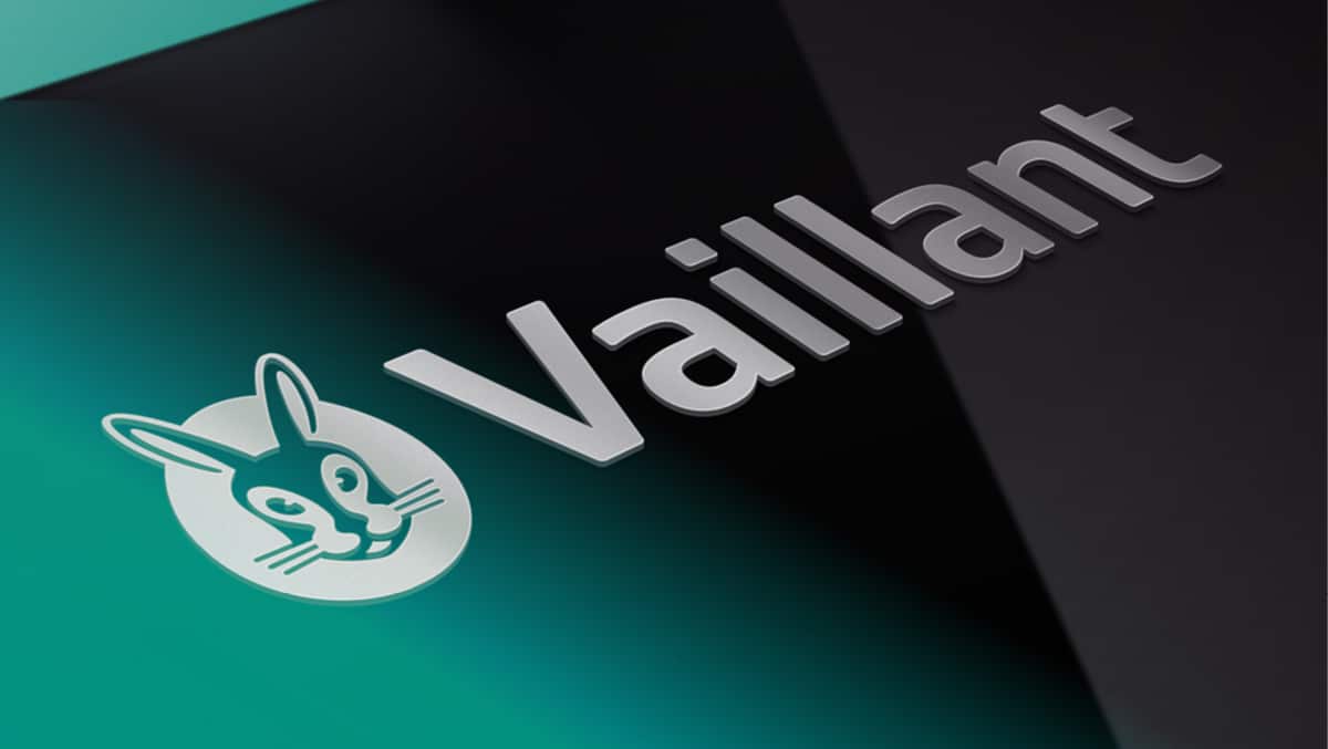 VAILLANT ricambio camera gruppo Sinistra MASTERIZZATORE T 042374